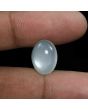 Moonstone 8.1 Carat 