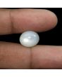 Moonstone 8.68 Carat 