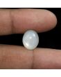 Moonstone 8.68 Carat 