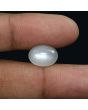 Moonstone 6.35 Carat 