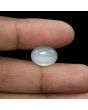 Moonstone 6.52 Carat 