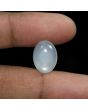 Moonstone 9.8 Carat 