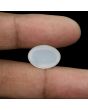 Moonstone 9.8 Carat 