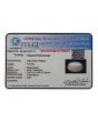 Moonstone 7.55 Carat 