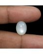 Moonstone 8.3 Carat 