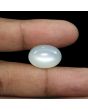 Moonstone 17.76 Carat 
