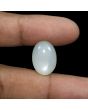 Moonstone 17.76 Carat 