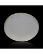 Moonstone 9.9 Carat 