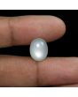 Moonstone 6.8 Carat 