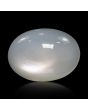 Moonstone 7.21 Carat 