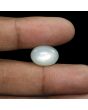 Moonstone 7.21 Carat 