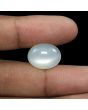 Moonstone 11.71 Carat 