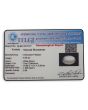 Moonstone 6.46 Carat 