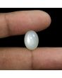 Moonstone 8.6 Carat 