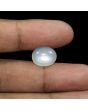 Moonstone 8.94 Carat 