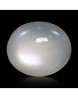 Moonstone 7.72 Carat 