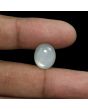 Moonstone 7.72 Carat 