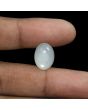 Moonstone 9.46 Carat 