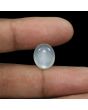 Moonstone 6.61 Carat 