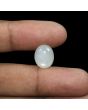 Moonstone 7.83 Carat 