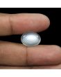 Moonstone 8.77 Carat 