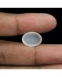 Moonstone 8.77 Carat 