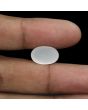 Moonstone 8.28 Carat 