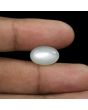 Moonstone 7.31 Carat 