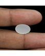 Moonstone 7.31 Carat 
