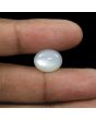 Moonstone 7.79 Carat 