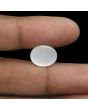 Moonstone 7.79 Carat 