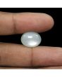 Moonstone 8.32 Carat 