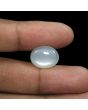 Moonstone 8.37 Carat 