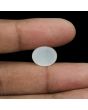 Moonstone 8.02 Carat 