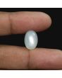 Moonstone 7.73 Carat 