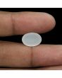Moonstone 7.73 Carat 