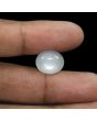 Moonstone 9.52 Carat 