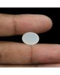 Moonstone 7.57 Carat 