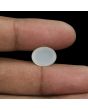 Moonstone 6.08 Carat 