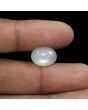 Moonstone 8.43 Carat 