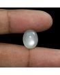 Moonstone 7.46 Carat 