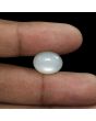 Moonstone 8.56 Carat 