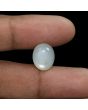 Moonstone 8.71 Carat 