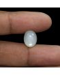 Moonstone 6.98 Carat 
