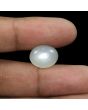 Moonstone 9.57 Carat 