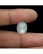 Moonstone 9.57 Carat 
