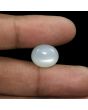 Moonstone 8.39 Carat 