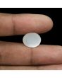 Moonstone 8.64 Carat 