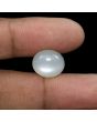 Moonstone 9.26 Carat 