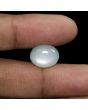 Moonstone 8.5 Carat 